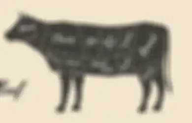 Idul Adha, 5 Bagian Daging Sapi Ini Kandungan Gizinya Paling Tinggi!