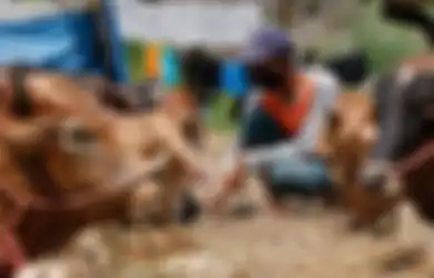 Mengapa Sunan Kudus Melarang Menyembelih Sapi Saat Hari Raya Idul Adha di Wilayah Kudus?