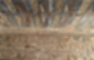 Berusia 2.200 Tahun, Mural yang Didedikasikan untuk Dewi Mesir Ditemukan Terkubur di Bawah Lapisan Tebal Kotoran Burung, Seperti Ini Keadaannya Ketika Ditemukan Arkeolog!