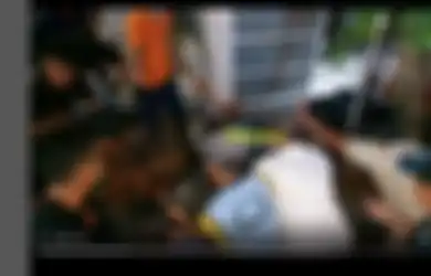 GEGER! Sapi Kurban Milik Wapres Ma'ruf Amin Seberat 1 Ton Sempat Terperosok Dalam Got hingga Alami Patah Kaki, Damkar Sampai Ikut Turun Tangan Lakukan Evakuasi