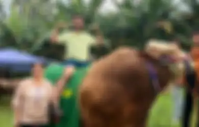 Tajirnya Bukan Kaleng-kaleng, Raffi Ahmad dan Nagita Slavina Borong 20 Ekor Sapi untuk Kurban, Ada yang Beratnya Sampai 1,3 Ton!