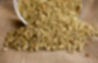 Sayang Banget Baru Tahu Sekarang, Uban di Rambut Ternyata Bisa Hilang dalam Sekejap, Modalnya Cuma Pakai Ketumbar
