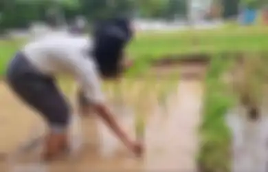 Jawaban Sebelum Menanam Tumbuhan Tertentu, Apa Saja yang Perlu Diperhatikan agar Tanaman Dapat Tumbuh dengan Baik