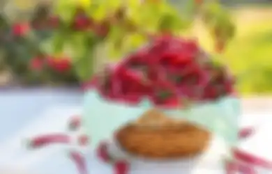 Para Penggemar Makan Sambal Wajib Tahu, Ternyata Runtut Gunakan Cara ini untuk Simpan Cabai Bertahan Lama Berbulan-bulan