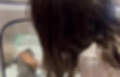 Respons Produser Film Kondang Jadi Sorotan, Gisel Rilis Nama Anak-anak Kucing Gempi, Foto Anabul Banjir Komentar