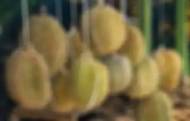 Pria Ini Tak Bisa Makan dan Minum Selama 3 Hari Setelah Santap Durian, Ternyata Ini yang Terjadi