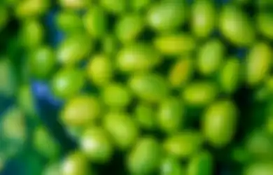 Snack Sehat, Ini 7 Manfaat Edamame Termasuk Cegah Kanker Payudara!