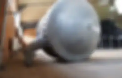 Bentuknya Malah Mirip Mobil Pintar Masa Kini, Inilah Senjata  Militer Super Aneh Ciptaan Nazi, Disebut Sangat Rapuh Sampai Langsung Hancur Digunakan Dalam Misi Apapun, Lalu Apa Gunanya?