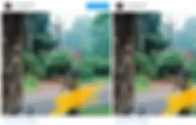 Langsung Bikin Warga Sekitar Geger, Ini Video di TikTok Kakek Bawa Kepala Putus dengan Santainya, Kejadian Sebenarnya Bikin Nyesek