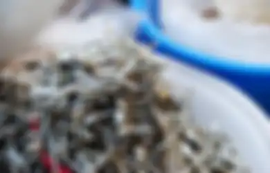 Aneka Tips Harian, Jangan Mau Ditipu Pedagang Nakal, Mulai Sekarang Mending Gak Usah Beli Ikan Teri dengan Ciri-ciri Ini, Bahayanya Fatal Banget!