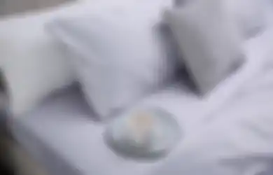 Aneka Tips Harian, Jadi Salah Satu Barang yang Harus Rutin Dicuci, Begini Cara Mencuci Bantal agar Bersih dan Bebas Jadi Sarang Penyakit