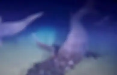 Hidup di Kedalaman 2.000 Meter di Bawah Laut, Inilah Penampakan Langka Makhluk Berukuran 2,5 Meter yang Berhasil Direkam Oleh Ilmuwan, Bak Misteri Lautan yang Terungkap