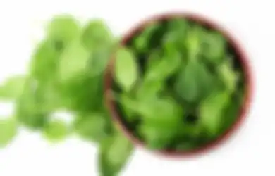 Aneka Tips Kecantikan, Gak Perlu Lagi Pergi ke Salon Buat Cat Rambut, Uban di Kepala Ternyata Bisa Langsung Hilang Cuma dengan Seikat Sayur Murah Meriah Ini