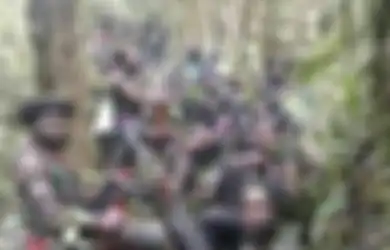 Susah Diawasi, Dana Desa dari Negara Rawan Diselewengkan untuk Hidupi KKB Papua, Kapolda Sebut Sistem Keuangan Ini Jadi Masalah
