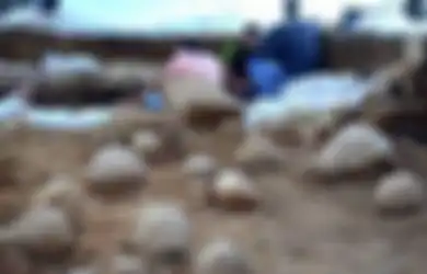 Berusia Lebih dari 1.900 Tahun, Terungkap Lokasi Mesin Ballista Roma Selama Pengepungan Yerusalem, Buktikan Kekuatan Tentara Romawi yang Hancurkan Bait Suci Kedua