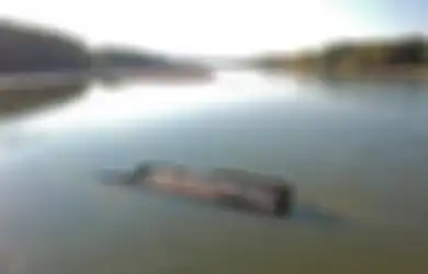 Puluhan Bangkai Kapal Perang Dunia 2 Muncul ke Permukaan Akibat Menyusutnya Air Sungai Danube di Eropa yang Dilanda Kekeringan, Dampaknya Sangat Berbahaya bagi Alam