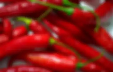 Emak-emak Wajib Tahu! Cabai Bisa Awet Berminggu-minggu Kalau Disimpan Dengan 1 Butir Bahan Dapur Ini