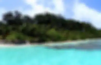 Manfaatkan Kekhawatiran Australia atas Pengaruh China, Orang Ini Ancam Akan Jual Pulau-pulau Strategis Miliknya pada China, Reaksi Australia di Luar Dugaan