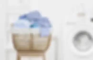 Tips Hidup: Jangan Asal Jika Tak Ingin Berakibat Fatal, Begini Cara yang Tepat Mencuci Baju Thrifting Agar Bersih dan Bebas dari Bakteri dan Jamur yang Membahayakan Kulit