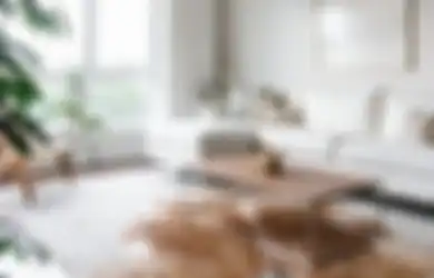 Jangan Salah, Desain Rumah Minimalis Juga Perlu Didekor! Berikut Tipsnya!