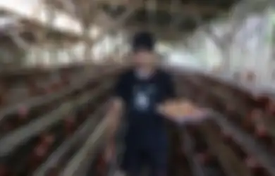 Harga Sembako Telur Ayam Terus Merangkak Naik Jelang Libur Natal dan Tahun Baru