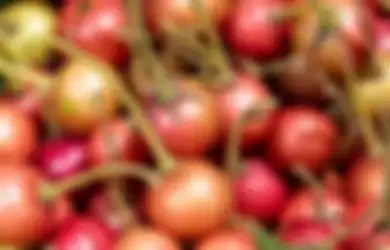 Tips Kesehatan, Air Rebusan Daun Buah Ini Ternyata Ampuh Atasi Diabetes, Begini Cara Bikinnya