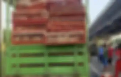 Penumpang Sampai Terjepit, Begini Penyebab Bus Lagi Ganti Ban Ditabrak Truk di Tol Cikampek, Foto Kecelakaan Beredar
