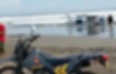 Pilot dan Penumpang Dievakuasi,  Terungkap Penyebab Pesawat Latih Sekolah Pilot Mendarat Darurat di Pantai Kawasan Alas Purwo, Polisi: Bukan Jatuh Ya!