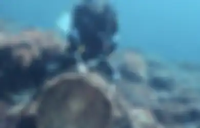Diving di Spot Terbaik Alor, Gisel Sampai Posting Foto Begini