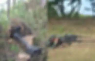 10 Sniper Terbaik dari Yonko 463 Kopasgat Siap Terlibat, Pasukan Khusus TNI AU Bakal PAM KTT G20 Bali, Asah Kemampuan Habis-habisan Demi Kuasai 3 Senjata Mematikan Ini