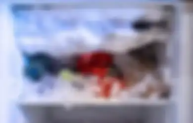 Tips Hidup, Bunga Es di Freezer yang Kerap Dianggap Sepele Nyatanya Miliki Bahaya Tak Main-main, Simak Penjelasannya Berikut Ini
