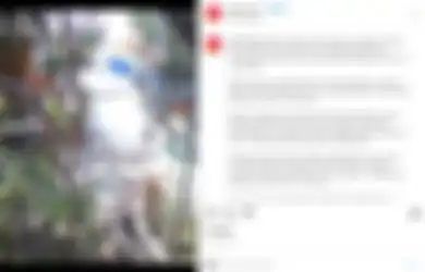 Coba Gagalkan Aksi Pencurian Motor di Purbalingga, Seorang Satpam Cidera Parah Gara-gara Bom Bondet, Warganet: Semoga CCTV Aktif!