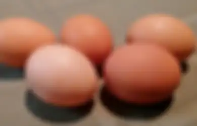 Aneka Tips Harian, Padahal Selama Ini Banyak Orang yang Melakukannya, Ternyata Telur Gak Boleh Disimpan di Rak Kulkas loh, Efeknya Bisa Bahaya Banget!