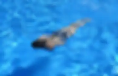 Jadi Salah Satu Peringatan untuk Diri Kita, Ternyata Arti Mimpi Berenang Punya Banyak Makna, Simak Tafsirannya Satu-satu