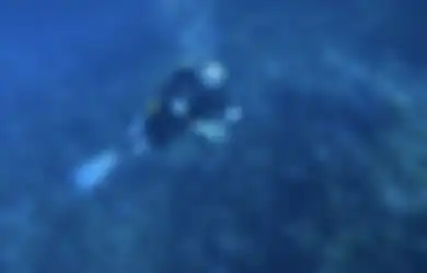 Diving Bareng Ikan di Alor, Gisel Ketagihan Unggah Foto Begini