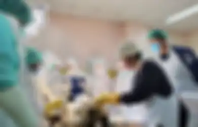 Otak Brigadir J Pindah ke Perut, Pemimpin Autopsi Ulang Korban Pembunuhan Subang Beri Jawaban Menohok, Foto Dokter Hastry Dibahas