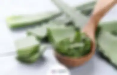 Aneka Tips Kecantikan, Lidah Buaya Ternyata Ampuh Lenyapkan Kerutan