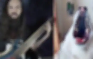 Gokil! Duet Sangar Antara Seekor Husky dan Gitaris Cadas Logan Young