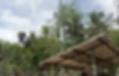 Proyek BTS 4G Jalan Terus, Ini Daftar Nama Satgas BTS BAKTI Pilihan Menkominfo
