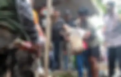 Adu Mulut Soal Warisan, Pria di Lampung Habisi Nyawa Satu Keluarga dengan Kapak, Begini Kronologinya!