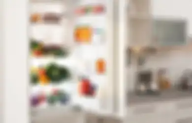 Aneka Tips Hari Ini, Tak Perlu Panik! Ini Cara Menjaga Makanan Tetap Segar Saat Kulkas Mati