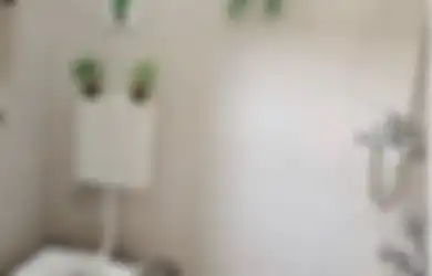 Kloset Jongkok Disorot, Desain Kamar Mandi Sederhana Nan Murah Tampak Bersih Kemilau Karena Trik Begini, 8 Foto Estetiknya Jadi Bukti