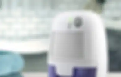 Ada Anggota Keluarga Anda yang Punya Alergi? Wajib Punya Dehumidifier di Rumah!