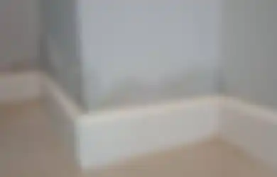 Cara Agar Air dari Tetangga Tak Lagi Rembes ke Tembok, 3 Trik Ini Jadi Kuncinya