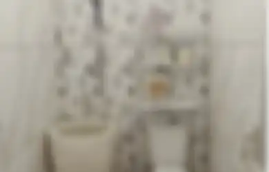 Kelemahan Berbuah Pujian, Desain Kamar Mandi Kecil Terlihat Nyaman Nan Estetik dengan Trik Kunci Ini, Begini 5 Foto Hasil Aplikasinya