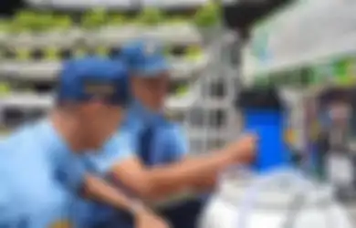 Dua Pelajar SMK Bikin Inovasi Hiper, Alat Penjernih Air Limbah Hidroponik, Penyelamat Bumi Juga!