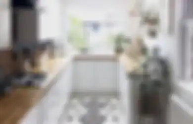 Gak Butuh Lahan Luas, Desain Dapur Sempit Jadi Sorotan Tetangga yang Datangi Rumah Mungil, Intip 7 Foto Aplikasinya