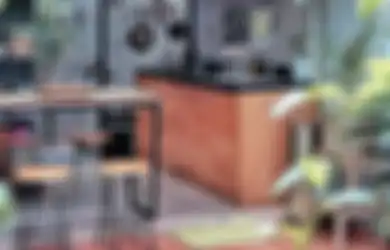 Dekorasinya Penuh Tanaman Segar, Desain Dapur Menyatu dengan Ruang Cuci Jadi Sorotan, Lihat Foto Hasil Aplikasinya