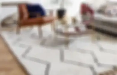 Aneka Tips Harian, Karpet Basah Bukan Lagi Masalah, Simak Cara Mengeringkannya