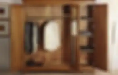 Agar Emosi Tak Gampang Naik, Posisi Lemari Pakaian Harus Jauh dari Barang Rumah Tangga Ini, Aturan Feng Shui Kasih Alasannya